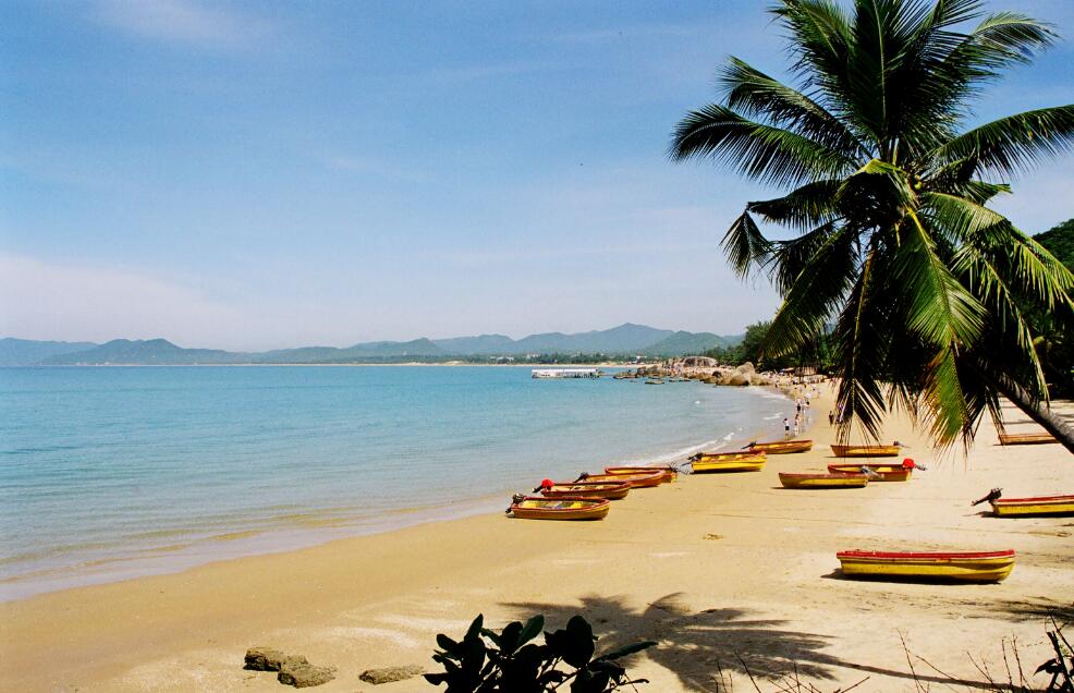 农业农村部：支持海南加力推进农业科技创新 高水平建好南繁硅谷